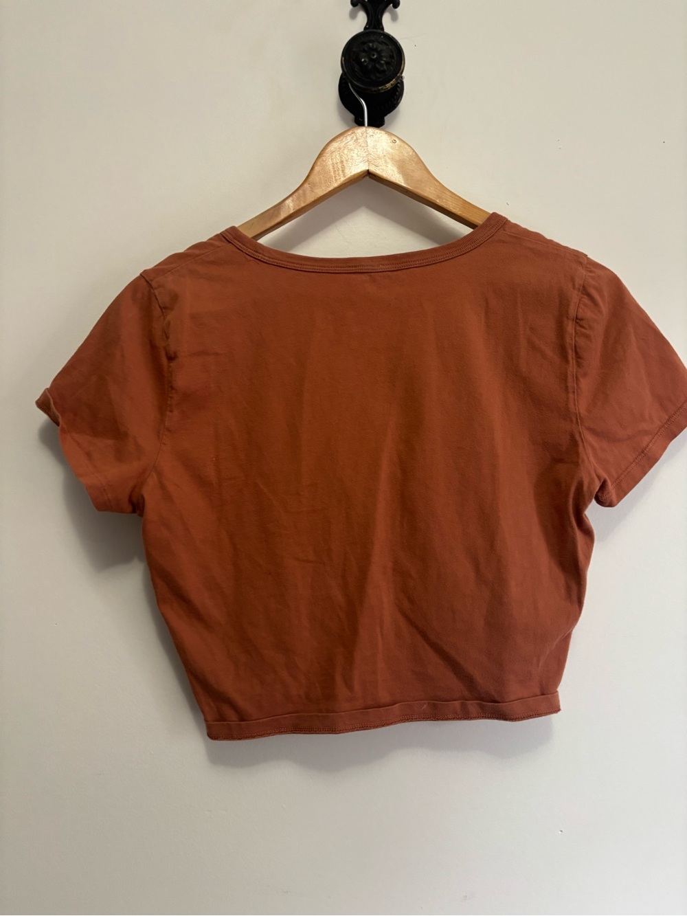Wilfred Rust Ruched V-Neck Crop Top - Picture 2 of 4